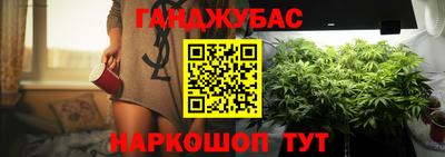 МДПВ Кингисепп