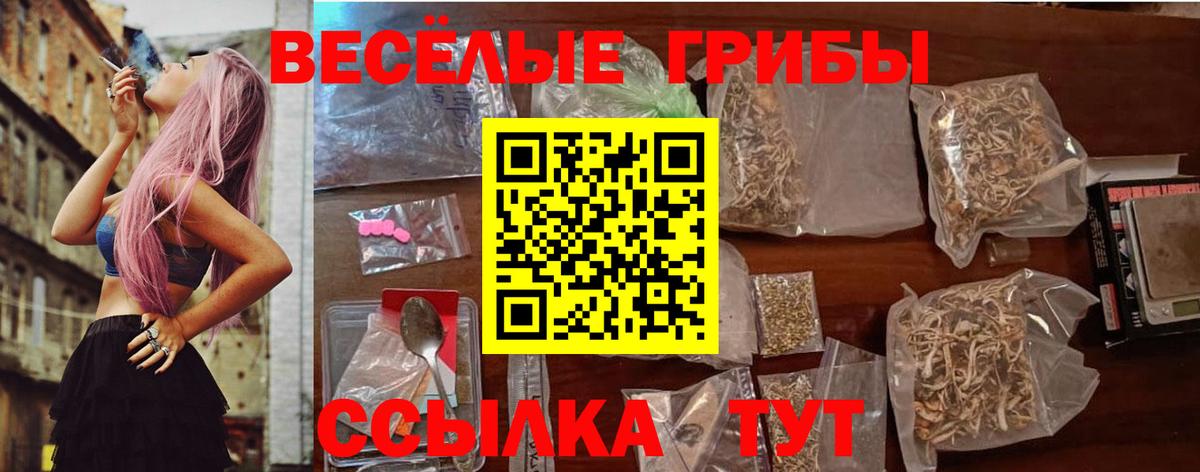 Псилоцибиновые грибы MAGIC MUSHROOMS Котлас